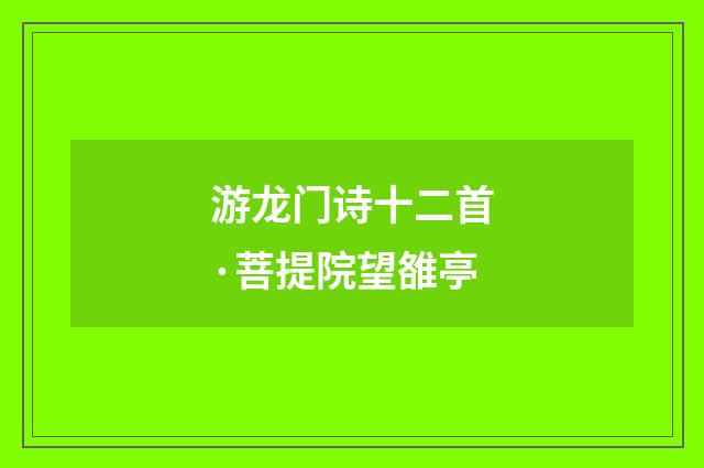 游龙门诗十二首·菩提院望雒亭