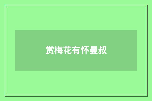 赏梅花有怀曼叔