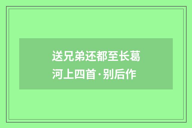 送兄弟还都至长葛河上四首·别后作