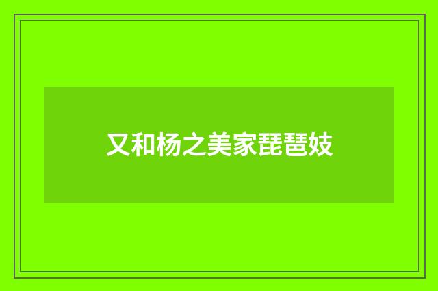 又和杨之美家琵琶妓