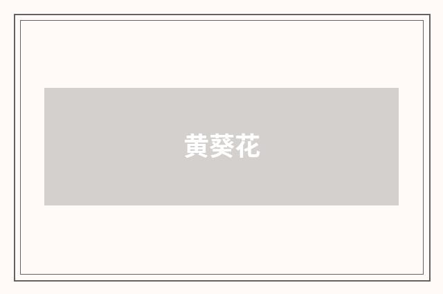 黄葵花