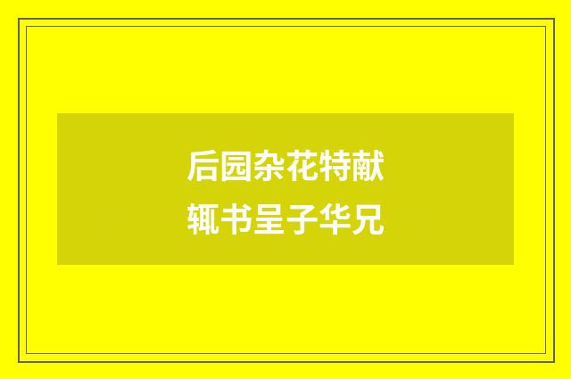 后园杂花特献辄书呈子华兄