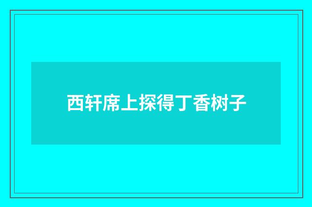 西轩席上探得丁香树子