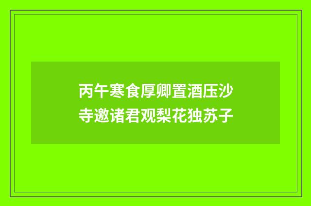 丙午寒食厚卿置酒压沙寺邀诸君观梨花独苏子