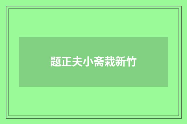 题正夫小斋栽新竹
