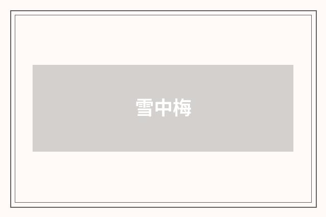 雪中梅