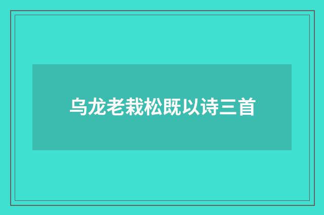 乌龙老栽松既以诗三首