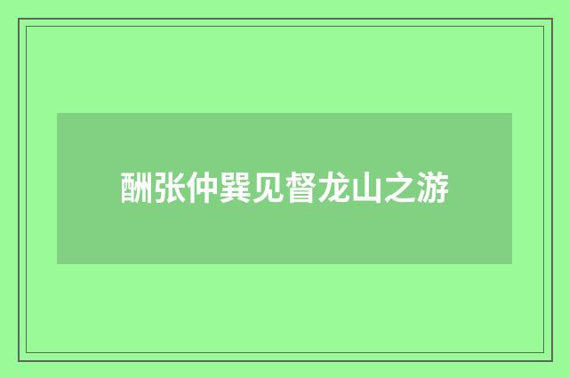 酬张仲巽见督龙山之游