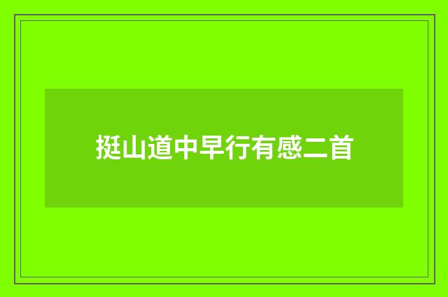 挺山道中早行有感二首