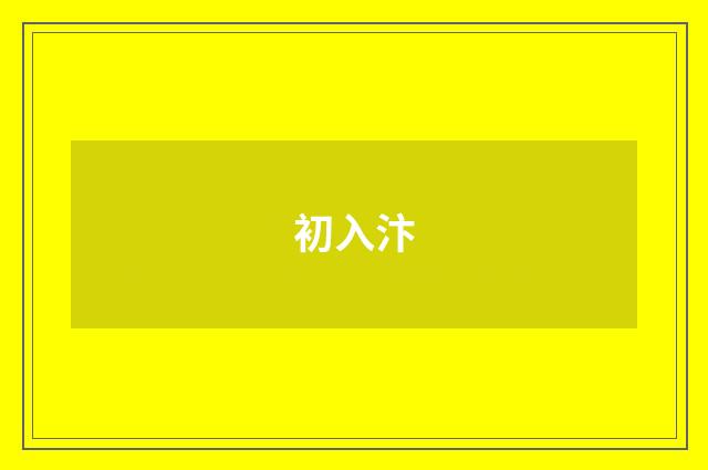 初入汴