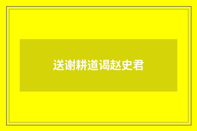 送谢耕道谒赵史君