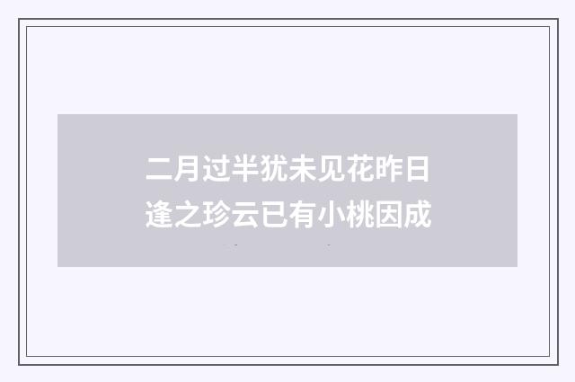 二月过半犹未见花昨日逢之珍云已有小桃因成