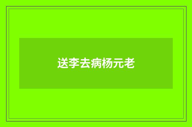 送李去病杨元老