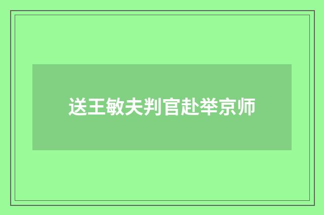送王敏夫判官赴举京师