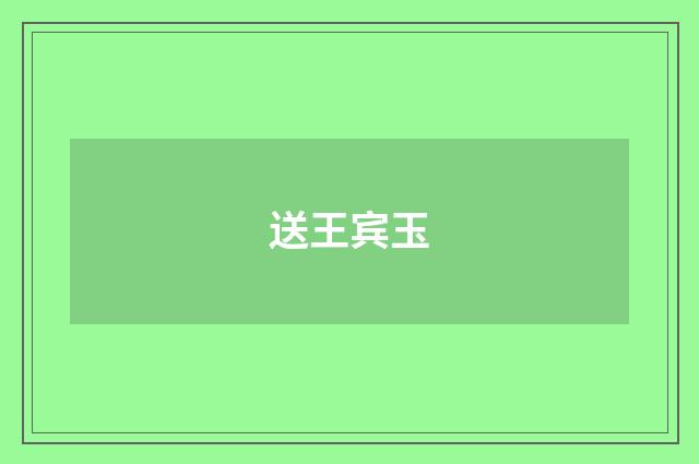 送王宾玉