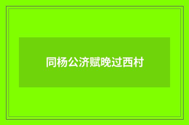 同杨公济赋晚过西村