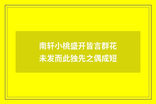 南轩小桃盛开皆言群花未发而此独先之偶成短