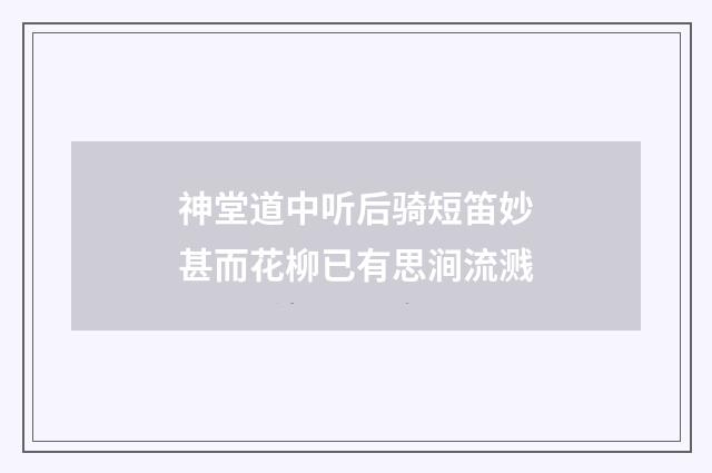 神堂道中听后骑短笛妙甚而花柳已有思涧流溅