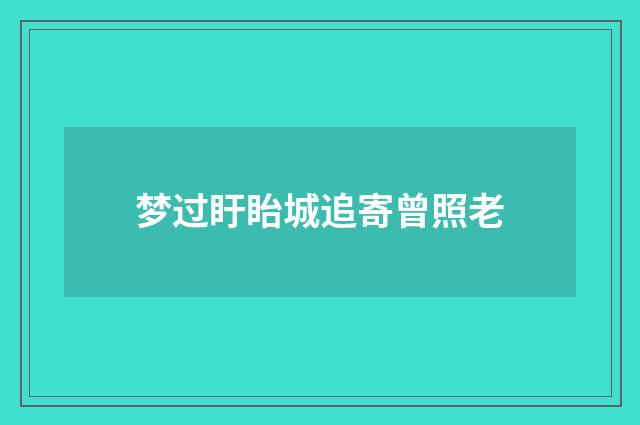 梦过盱眙城追寄曾照老