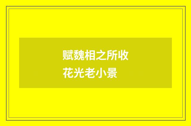 赋魏相之所收花光老小景