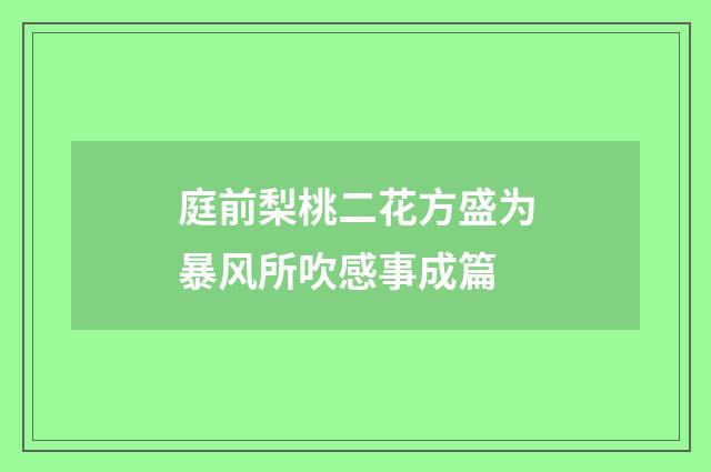 庭前梨桃二花方盛为暴风所吹感事成篇