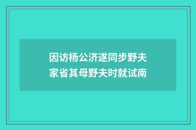 因访杨公济遂同步野夫家省其母野夫时就试南