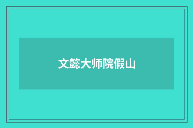 文懿大师院假山