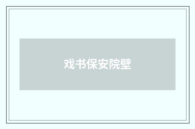 戏书保安院壁