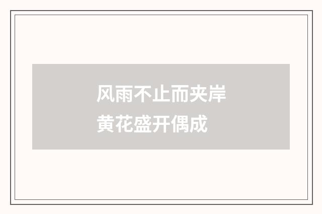 风雨不止而夹岸黄花盛开偶成