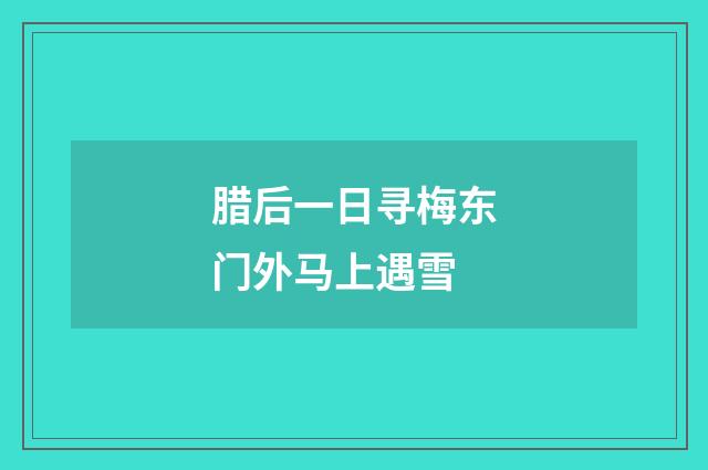 腊后一日寻梅东门外马上遇雪