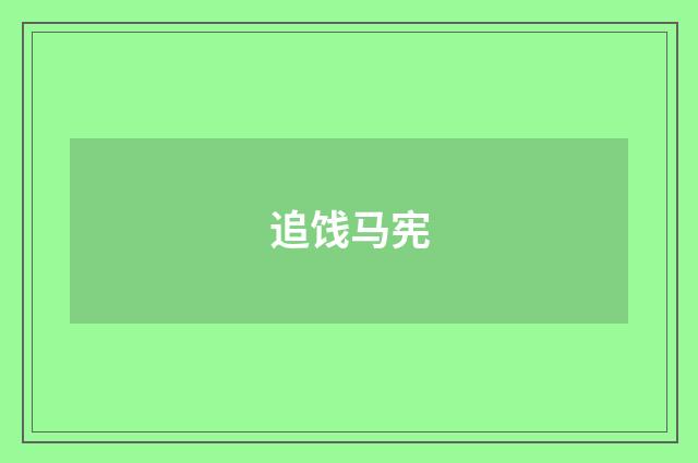 追饯马宪