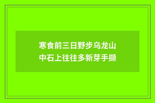 寒食前三日野步乌龙山中石上往往多新芽手撷