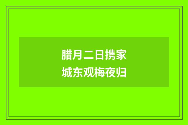 腊月二日携家城东观梅夜归