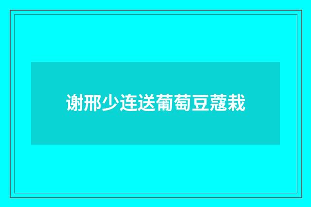 谢邢少连送葡萄豆蔻栽