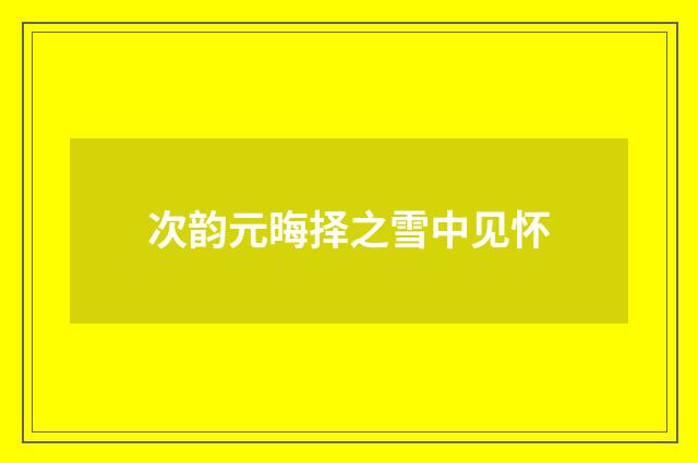 次韵元晦择之雪中见怀