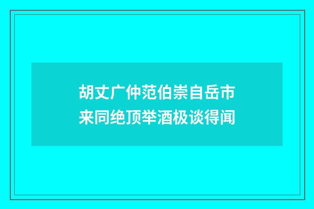 胡丈广仲范伯崇自岳市来同绝顶举酒极谈得闻