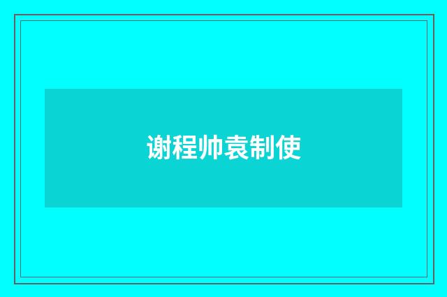 谢程帅袁制使