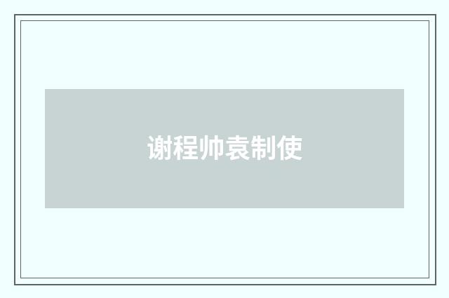 谢程帅袁制使