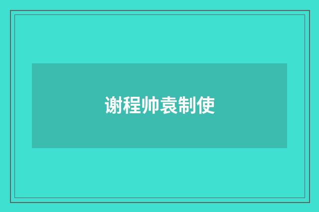 谢程帅袁制使