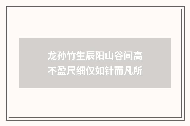 龙孙竹生辰阳山谷间高不盈尺细仅如针而凡所