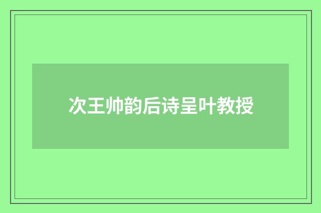 次王帅韵后诗呈叶教授