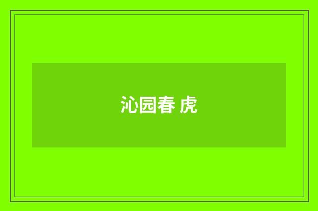 沁园春 虎