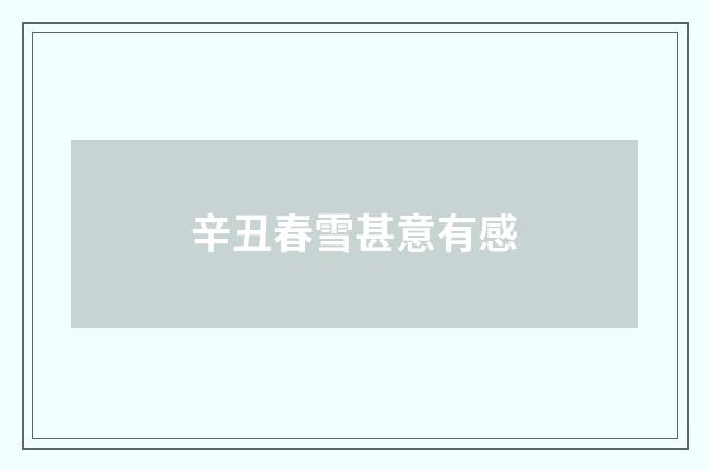 辛丑春雪甚意有感