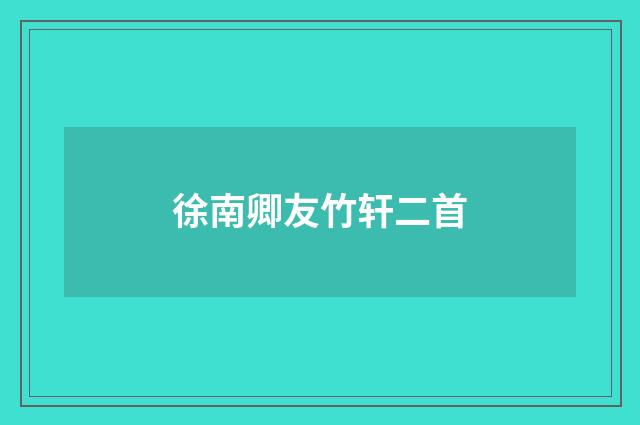 徐南卿友竹轩二首