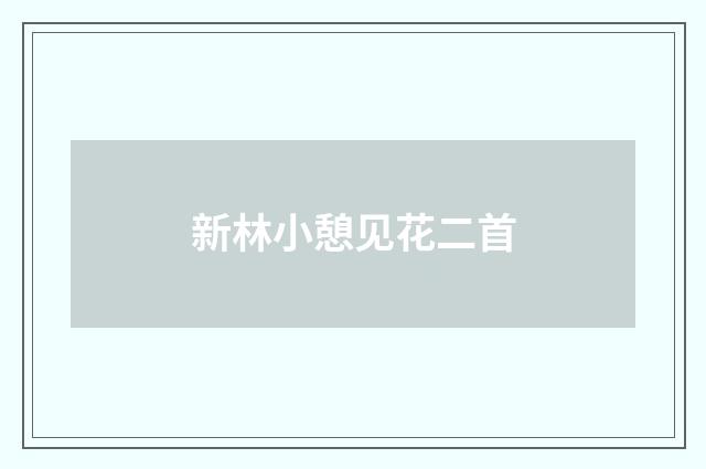 新林小憩见花二首