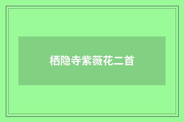 栖隐寺紫薇花二首