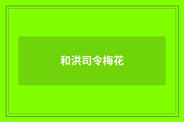 和洪司令梅花
