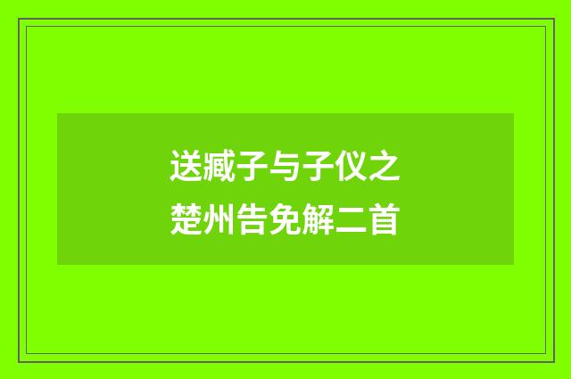 送臧子与子仪之楚州告免解二首
