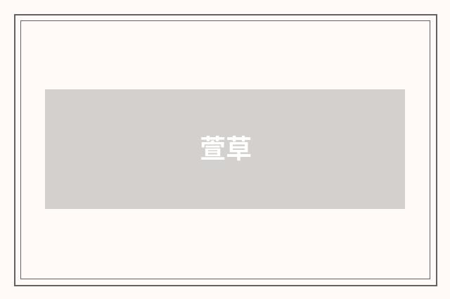 萱草