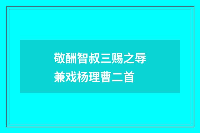 敬酬智叔三赐之辱兼戏杨理曹二首